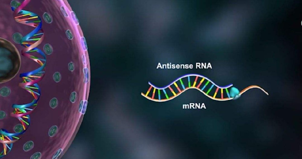 rna分子杂交的过程（rna杂交法）