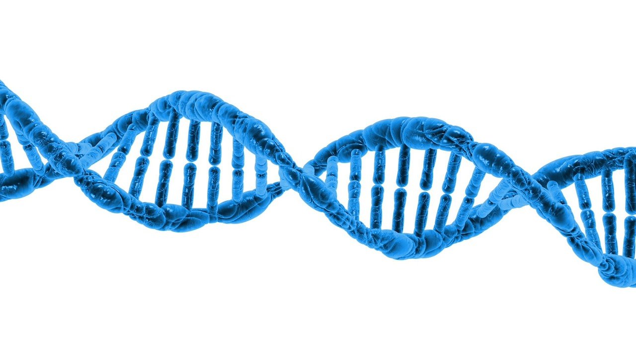 肾功能衰竭遗传病的基因检查技术有几种