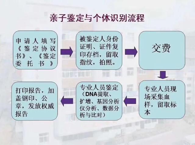 在贵阳想要做胎儿dna鉴定怎么做