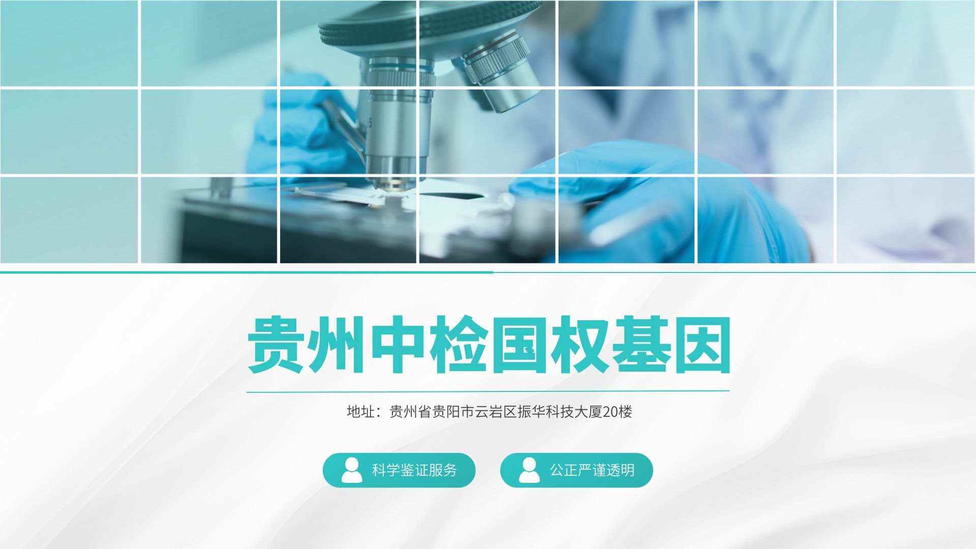 贵阳基因组DNA的提取与鉴定结果分析（dna提取与鉴定实验步骤）  