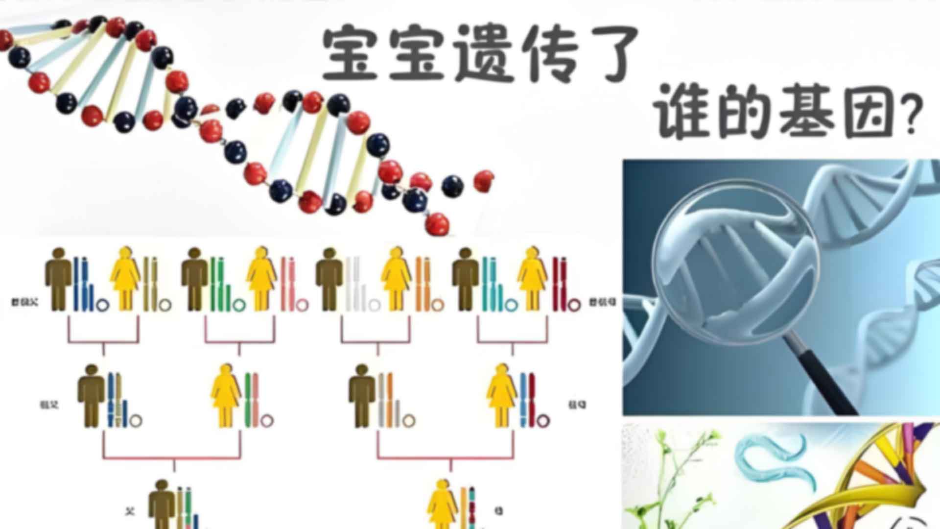 贵阳乌当区偷偷做亲子鉴定怎么做