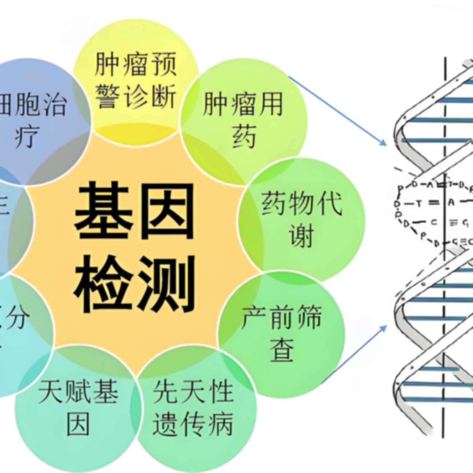 贵阳观山湖区亲子鉴定怎么做，具体收费多少？